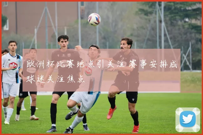 欧洲杯比赛地点引关注 赛事安排成球迷关注焦点