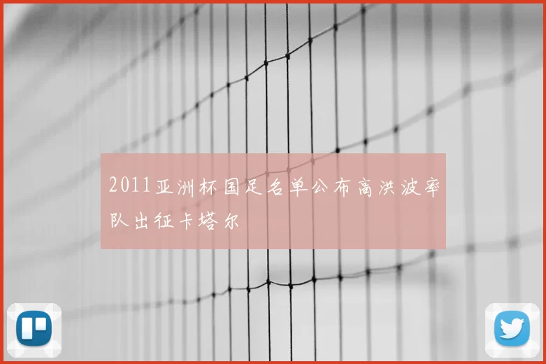 2011亚洲杯国足名单公布高洪波率队出征卡塔尔